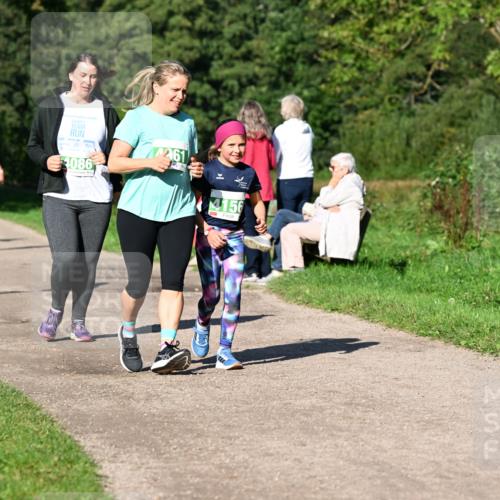 27.09.2026 - 35. Volkslauf durch das schöne Alstertal Dr. Thomas Lammeyer http://msf.ph/oto/10567452 27.09.2026 10:42:53 Laufen 4086, 261, 4156 meine-sportfotos.de