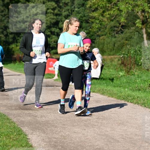 27.09.2026 - 35. Volkslauf durch das schöne Alstertal Dr. Thomas Lammeyer http://msf.ph/oto/10567458 27.09.2026 10:42:54 Laufen 086, 56 meine-sportfotos.de