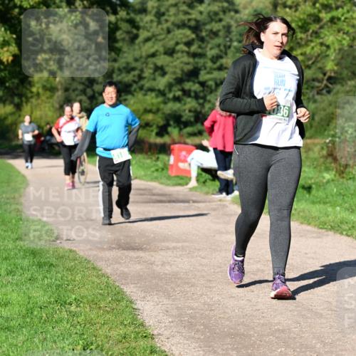 27.09.2026 - 35. Volkslauf durch das schöne Alstertal Dr. Thomas Lammeyer http://msf.ph/oto/10567474 27.09.2026 10:42:56 Laufen 036 meine-sportfotos.de