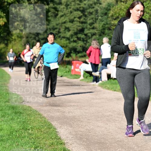 27.09.2026 - 35. Volkslauf durch das schöne Alstertal Dr. Thomas Lammeyer http://msf.ph/oto/10567477 27.09.2026 10:42:56 Laufen 2025, 4086 meine-sportfotos.de