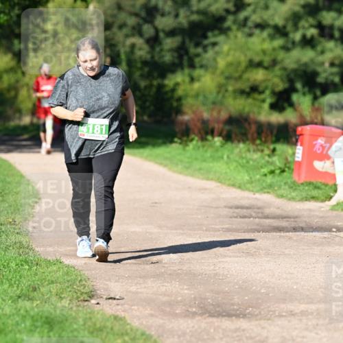 27.09.2026 - 35. Volkslauf durch das schöne Alstertal Dr. Thomas Lammeyer http://msf.ph/oto/10567515 27.09.2026 10:43:10 Laufen 4181, 187 meine-sportfotos.de