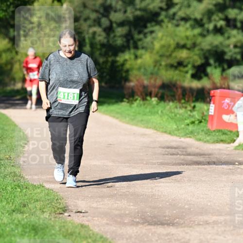 27.09.2026 - 35. Volkslauf durch das schöne Alstertal Dr. Thomas Lammeyer http://msf.ph/oto/10567516 27.09.2026 10:43:11 Laufen 4181, 187 meine-sportfotos.de