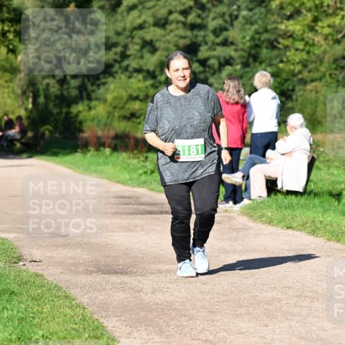 27.09.2026 - 35. Volkslauf durch das schöne Alstertal Dr. Thomas Lammeyer http://msf.ph/oto/10567530 27.09.2026 10:43:14 Laufen 181 meine-sportfotos.de
