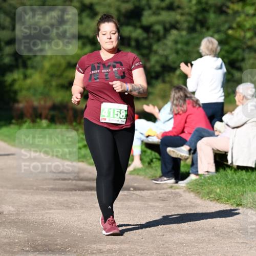27.09.2026 - 35. Volkslauf durch das schöne Alstertal Dr. Thomas Lammeyer http://msf.ph/oto/10567595 27.09.2026 10:43:47 Laufen 4158 meine-sportfotos.de