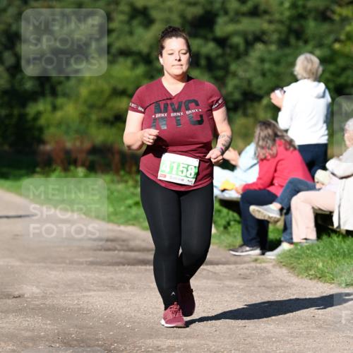 27.09.2026 - 35. Volkslauf durch das schöne Alstertal Dr. Thomas Lammeyer http://msf.ph/oto/10567596 27.09.2026 10:43:47 Laufen 4158 meine-sportfotos.de
