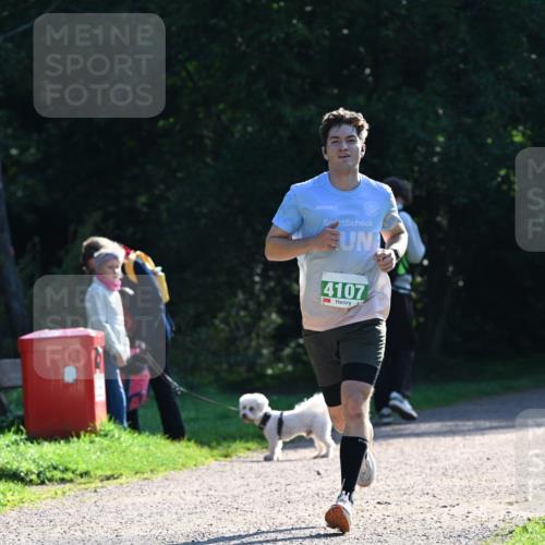 27.09.2026 - 35. Volkslauf durch das schöne Alstertal Dr. Thomas Lammeyer http://msf.ph/oto/10567639 27.09.2026 10:46:58 Laufen 4107 meine-sportfotos.de