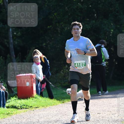 27.09.2026 - 35. Volkslauf durch das schöne Alstertal Dr. Thomas Lammeyer http://msf.ph/oto/10567641 27.09.2026 10:46:59 Laufen 4107 meine-sportfotos.de