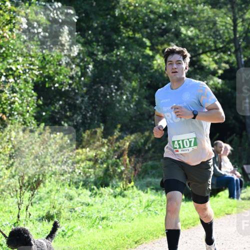 27.09.2026 - 35. Volkslauf durch das schöne Alstertal Dr. Thomas Lammeyer http://msf.ph/oto/10567657 27.09.2026 10:47:01 Laufen 4107 meine-sportfotos.de