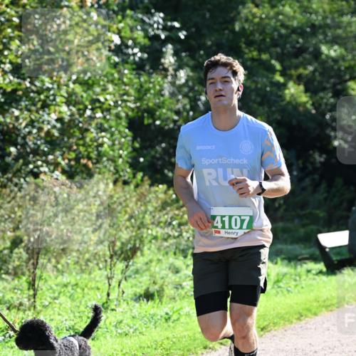 27.09.2026 - 35. Volkslauf durch das schöne Alstertal Dr. Thomas Lammeyer http://msf.ph/oto/10567661 27.09.2026 10:47:01 Laufen 4107 meine-sportfotos.de