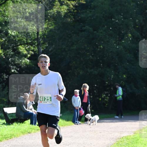 27.09.2026 - 35. Volkslauf durch das schöne Alstertal Dr. Thomas Lammeyer http://msf.ph/oto/10567667 27.09.2026 10:47:05 Laufen 4125 meine-sportfotos.de