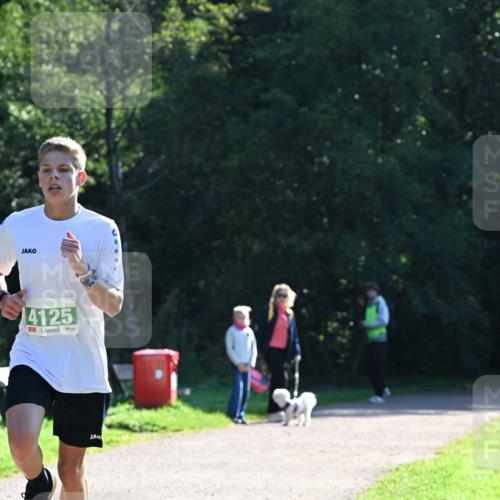 27.09.2026 - 35. Volkslauf durch das schöne Alstertal Dr. Thomas Lammeyer http://msf.ph/oto/10567670 27.09.2026 10:47:05 Laufen 4125 meine-sportfotos.de