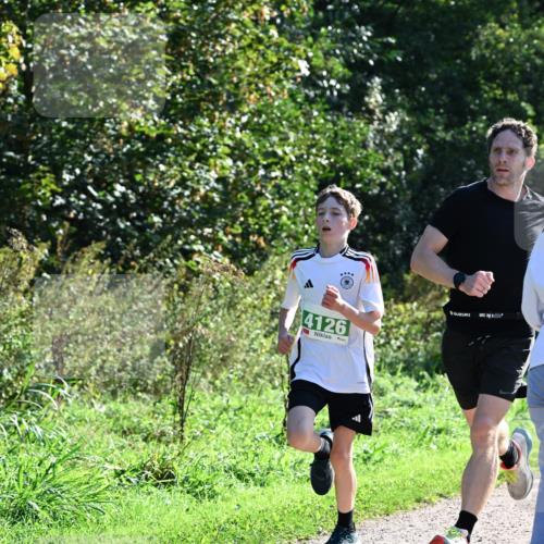 27.09.2026 - 35. Volkslauf durch das schöne Alstertal Dr. Thomas Lammeyer http://msf.ph/oto/10567671 27.09.2026 10:47:20 Laufen 4126 meine-sportfotos.de