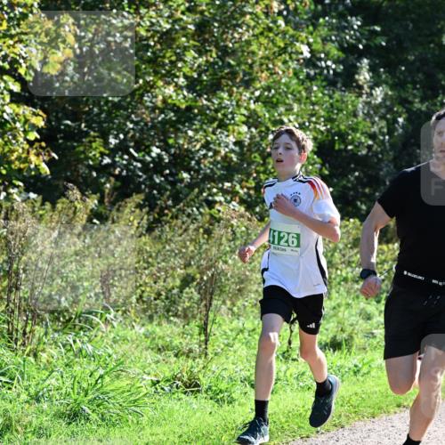 27.09.2026 - 35. Volkslauf durch das schöne Alstertal Dr. Thomas Lammeyer http://msf.ph/oto/10567672 27.09.2026 10:47:21 Laufen 4126 meine-sportfotos.de