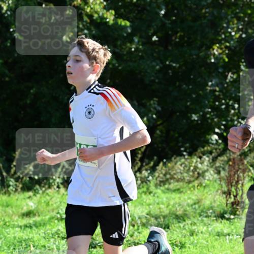 27.09.2026 - 35. Volkslauf durch das schöne Alstertal Dr. Thomas Lammeyer http://msf.ph/oto/10567680 27.09.2026 10:47:22 Laufen  meine-sportfotos.de