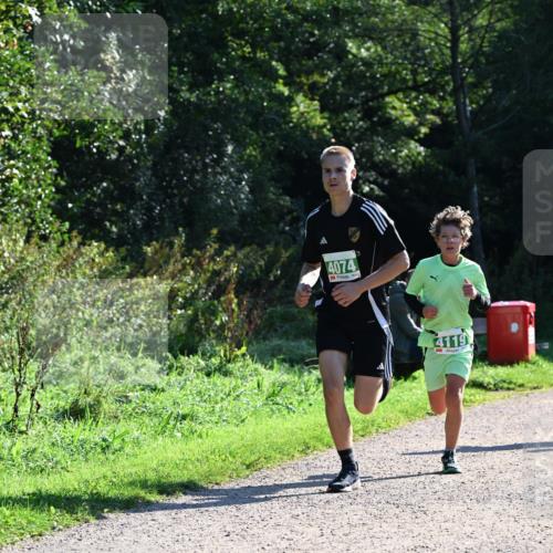 27.09.2026 - 35. Volkslauf durch das schöne Alstertal Dr. Thomas Lammeyer http://msf.ph/oto/10567685 27.09.2026 10:47:28 Laufen 4074, 4119 meine-sportfotos.de