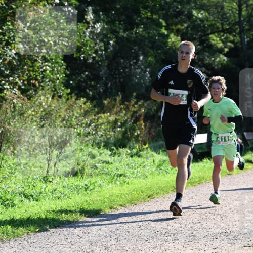 27.09.2026 - 35. Volkslauf durch das schöne Alstertal Dr. Thomas Lammeyer http://msf.ph/oto/10567687 27.09.2026 10:47:29 Laufen 4119 meine-sportfotos.de