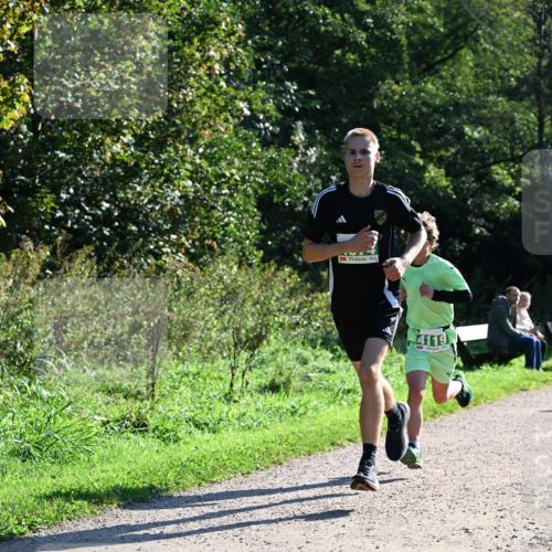 27.09.2026 - 35. Volkslauf durch das schöne Alstertal Dr. Thomas Lammeyer http://msf.ph/oto/10567692 27.09.2026 10:47:29 Laufen 4119 meine-sportfotos.de