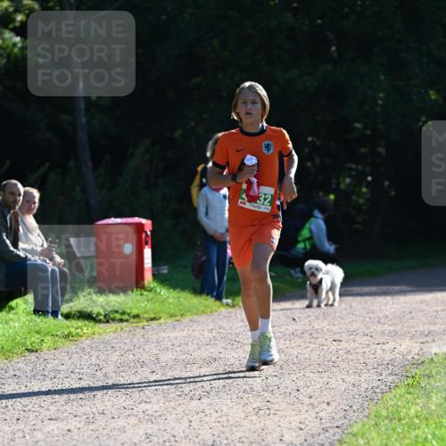 27.09.2026 - 35. Volkslauf durch das schöne Alstertal Dr. Thomas Lammeyer http://msf.ph/oto/10567700 27.09.2026 10:47:43 Laufen 32 meine-sportfotos.de