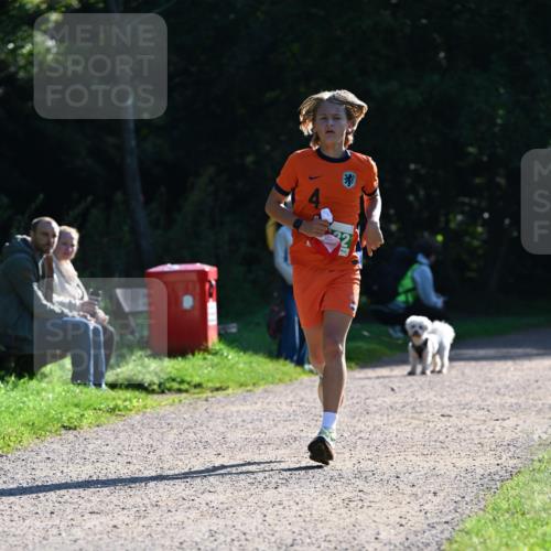 27.09.2026 - 35. Volkslauf durch das schöne Alstertal Dr. Thomas Lammeyer http://msf.ph/oto/10567701 27.09.2026 10:47:43 Laufen  meine-sportfotos.de