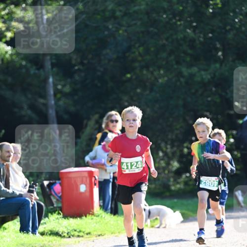 27.09.2026 - 35. Volkslauf durch das schöne Alstertal Dr. Thomas Lammeyer http://msf.ph/oto/10567746 27.09.2026 10:48:20 Laufen 4124, 2807 meine-sportfotos.de