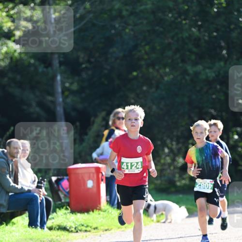 27.09.2026 - 35. Volkslauf durch das schöne Alstertal Dr. Thomas Lammeyer http://msf.ph/oto/10567747 27.09.2026 10:48:20 Laufen 4124, 2807 meine-sportfotos.de