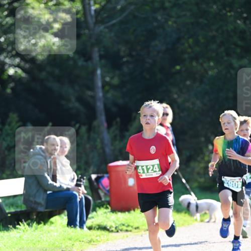 27.09.2026 - 35. Volkslauf durch das schöne Alstertal Dr. Thomas Lammeyer http://msf.ph/oto/10567750 27.09.2026 10:48:21 Laufen 4124, 801 meine-sportfotos.de