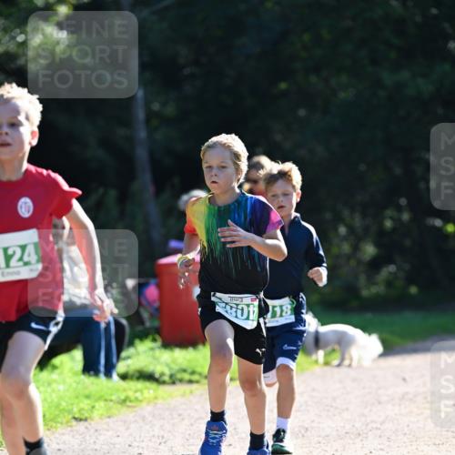27.09.2026 - 35. Volkslauf durch das schöne Alstertal Dr. Thomas Lammeyer http://msf.ph/oto/10567754 27.09.2026 10:48:22 Laufen 124, 801, 18 meine-sportfotos.de