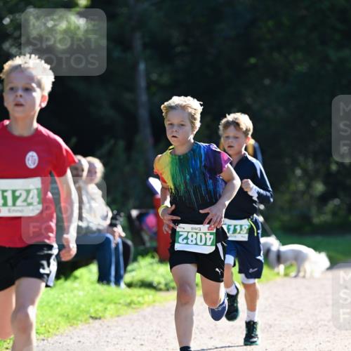 27.09.2026 - 35. Volkslauf durch das schöne Alstertal Dr. Thomas Lammeyer http://msf.ph/oto/10567755 27.09.2026 10:48:22 Laufen 124, 4082, 118 meine-sportfotos.de