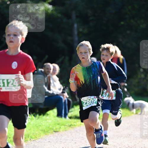 27.09.2026 - 35. Volkslauf durch das schöne Alstertal Dr. Thomas Lammeyer http://msf.ph/oto/10567756 27.09.2026 10:48:22 Laufen 4124, 4082 meine-sportfotos.de