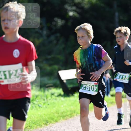 27.09.2026 - 35. Volkslauf durch das schöne Alstertal Dr. Thomas Lammeyer http://msf.ph/oto/10567760 27.09.2026 10:48:23 Laufen 4124, 4082, 4118 meine-sportfotos.de