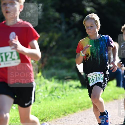 27.09.2026 - 35. Volkslauf durch das schöne Alstertal Dr. Thomas Lammeyer http://msf.ph/oto/10567761 27.09.2026 10:48:23 Laufen 4082 meine-sportfotos.de