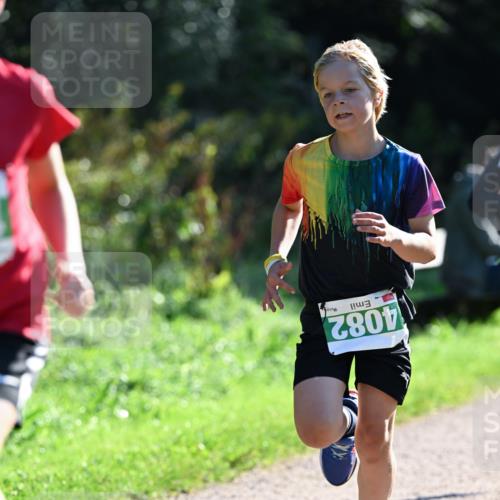 27.09.2026 - 35. Volkslauf durch das schöne Alstertal Dr. Thomas Lammeyer http://msf.ph/oto/10567763 27.09.2026 10:48:23 Laufen 4082 meine-sportfotos.de