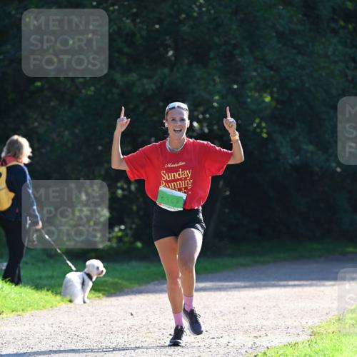27.09.2026 - 35. Volkslauf durch das schöne Alstertal Dr. Thomas Lammeyer http://msf.ph/oto/10567779 27.09.2026 10:48:34 Laufen 3368 meine-sportfotos.de