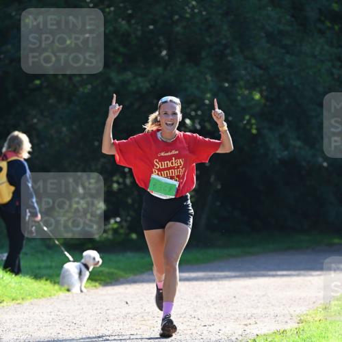 27.09.2026 - 35. Volkslauf durch das schöne Alstertal Dr. Thomas Lammeyer http://msf.ph/oto/10567780 27.09.2026 10:48:34 Laufen 8368 meine-sportfotos.de