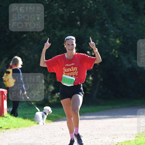 27.09.2026 - 35. Volkslauf durch das schöne Alstertal Dr. Thomas Lammeyer http://msf.ph/oto/10567784 27.09.2026 10:48:35 Laufen 3368 meine-sportfotos.de