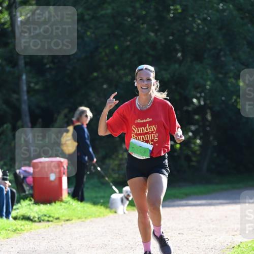 27.09.2026 - 35. Volkslauf durch das schöne Alstertal Dr. Thomas Lammeyer http://msf.ph/oto/10567789 27.09.2026 10:48:35 Laufen 5368 meine-sportfotos.de