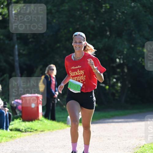 27.09.2026 - 35. Volkslauf durch das schöne Alstertal Dr. Thomas Lammeyer http://msf.ph/oto/10567792 27.09.2026 10:48:36 Laufen 5368 meine-sportfotos.de
