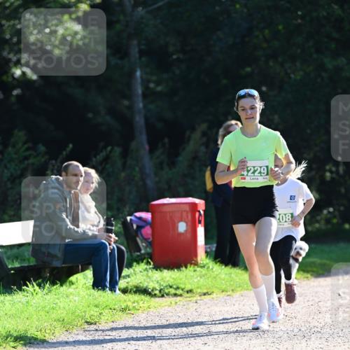 27.09.2026 - 35. Volkslauf durch das schöne Alstertal Dr. Thomas Lammeyer http://msf.ph/oto/10567810 27.09.2026 10:48:43 Laufen 229, 208 meine-sportfotos.de
