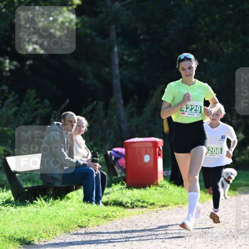 27.09.2026 - 35. Volkslauf durch das schöne Alstertal Dr. Thomas Lammeyer http://msf.ph/oto/10567811 27.09.2026 10:48:44 Laufen 234, 4229, 208 meine-sportfotos.de