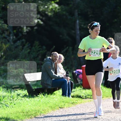 27.09.2026 - 35. Volkslauf durch das schöne Alstertal Dr. Thomas Lammeyer http://msf.ph/oto/10567815 27.09.2026 10:48:44 Laufen 229, 4208 meine-sportfotos.de