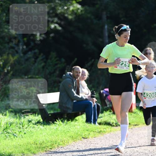 27.09.2026 - 35. Volkslauf durch das schöne Alstertal Dr. Thomas Lammeyer http://msf.ph/oto/10567816 27.09.2026 10:48:44 Laufen 229, 4208 meine-sportfotos.de