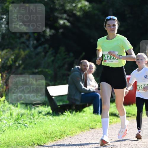 27.09.2026 - 35. Volkslauf durch das schöne Alstertal Dr. Thomas Lammeyer http://msf.ph/oto/10567818 27.09.2026 10:48:45 Laufen 4225, 0, 4200 meine-sportfotos.de