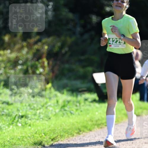 27.09.2026 - 35. Volkslauf durch das schöne Alstertal Dr. Thomas Lammeyer http://msf.ph/oto/10567823 27.09.2026 10:48:45 Laufen 4229 meine-sportfotos.de