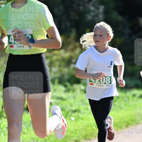 27.09.2026 - 35. Volkslauf durch das schöne Alstertal Dr. Thomas Lammeyer http://msf.ph/oto/10567831 27.09.2026 10:48:47 Laufen 4, 208 meine-sportfotos.de