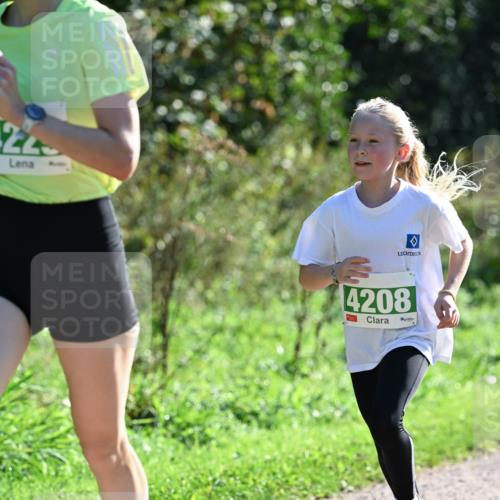 27.09.2026 - 35. Volkslauf durch das schöne Alstertal Dr. Thomas Lammeyer http://msf.ph/oto/10567835 27.09.2026 10:48:47 Laufen 4208 meine-sportfotos.de
