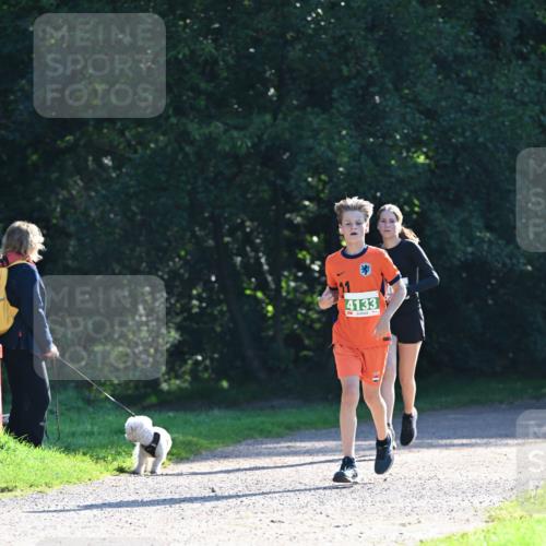 27.09.2026 - 35. Volkslauf durch das schöne Alstertal Dr. Thomas Lammeyer http://msf.ph/oto/10567837 27.09.2026 10:49:02 Laufen 4133 meine-sportfotos.de
