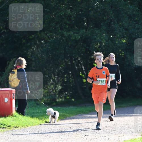 27.09.2026 - 35. Volkslauf durch das schöne Alstertal Dr. Thomas Lammeyer http://msf.ph/oto/10567840 27.09.2026 10:49:02 Laufen 11, 133, 76 meine-sportfotos.de