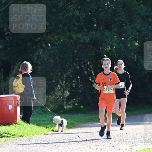 27.09.2026 - 35. Volkslauf durch das schöne Alstertal Dr. Thomas Lammeyer http://msf.ph/oto/10567841 27.09.2026 10:49:02 Laufen 4153, 76 meine-sportfotos.de