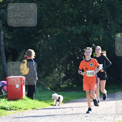 27.09.2026 - 35. Volkslauf durch das schöne Alstertal Dr. Thomas Lammeyer http://msf.ph/oto/10567843 27.09.2026 10:49:02 Laufen 412 meine-sportfotos.de