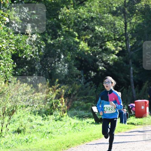 27.09.2026 - 35. Volkslauf durch das schöne Alstertal Dr. Thomas Lammeyer http://msf.ph/oto/10567902 27.09.2026 10:49:26 Laufen 4228 meine-sportfotos.de